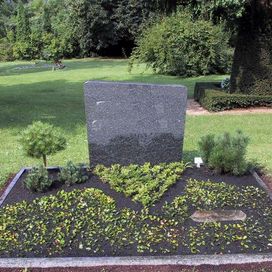 grüne Pflanzen auf einem Doppelgrab