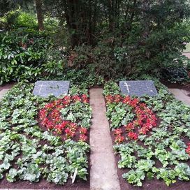 grüne und rote Pflanzen auf einem Doppelgrab