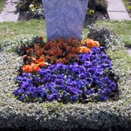 Friedhofsgärtnerei - Unger-Beckmeyer