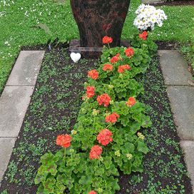 rote Blumen auf einem Grab